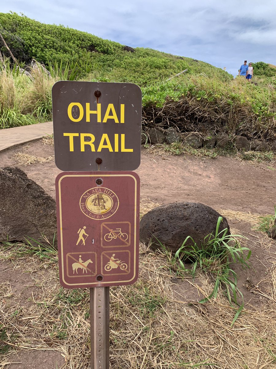 A trailhead signpost that says “Ohai Trail.”