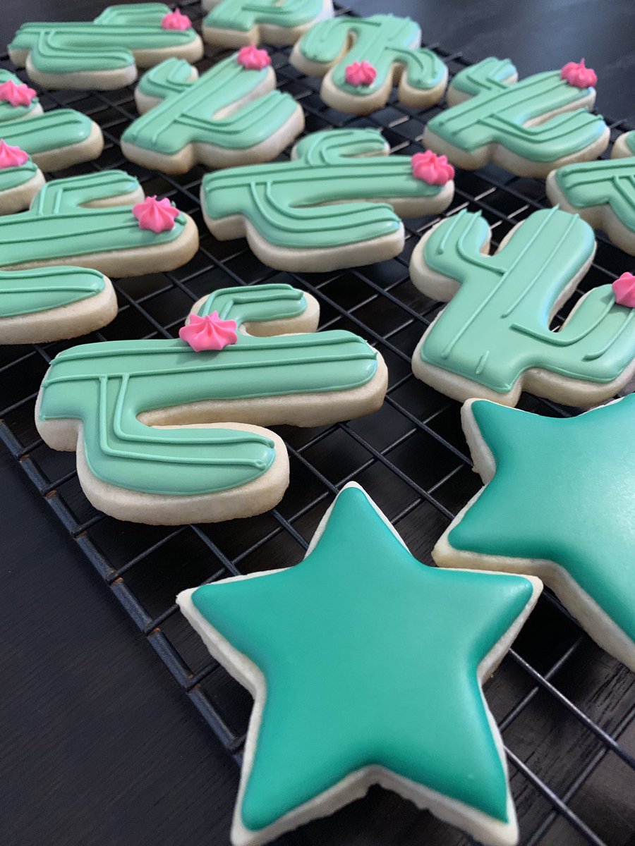 Close-up of cacti and star cookies