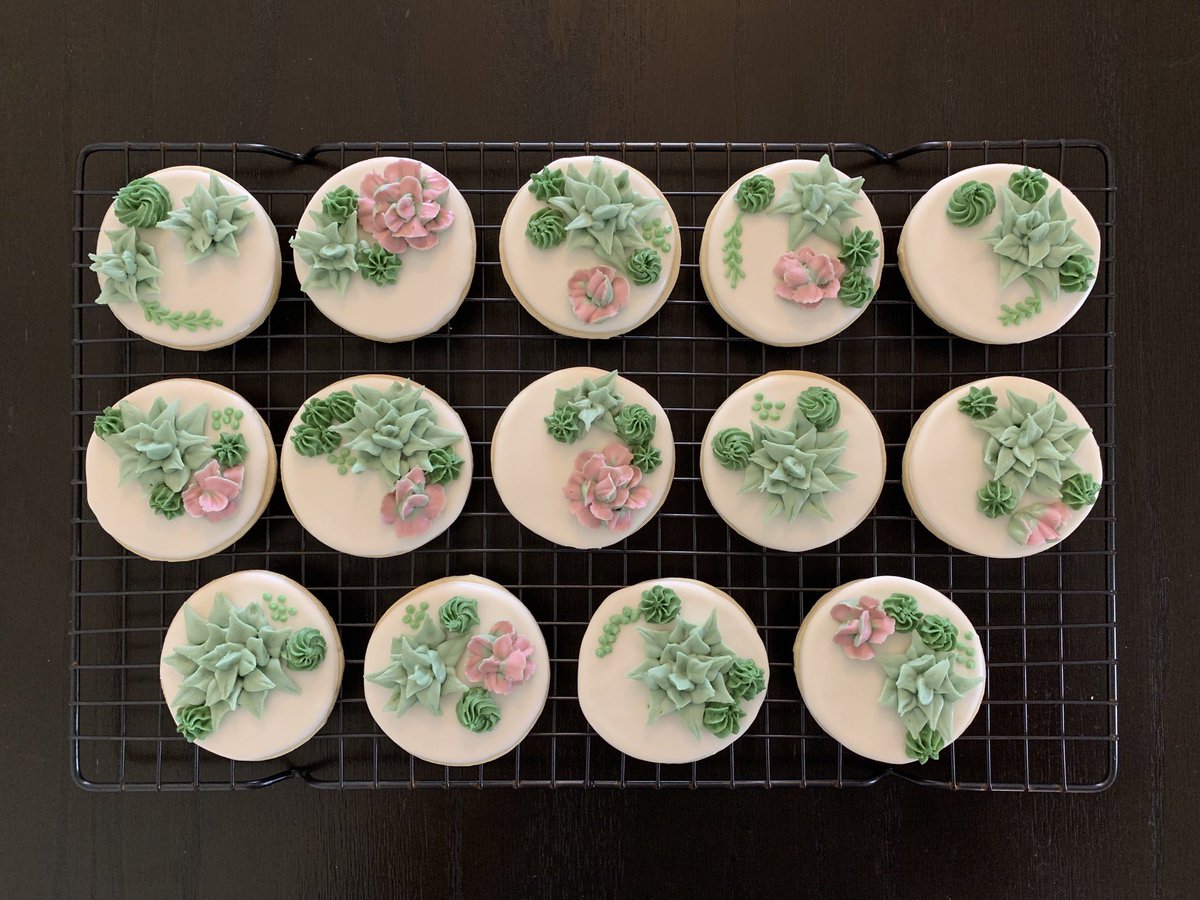 Decorated sugar cookies with green and pink icing succulents.