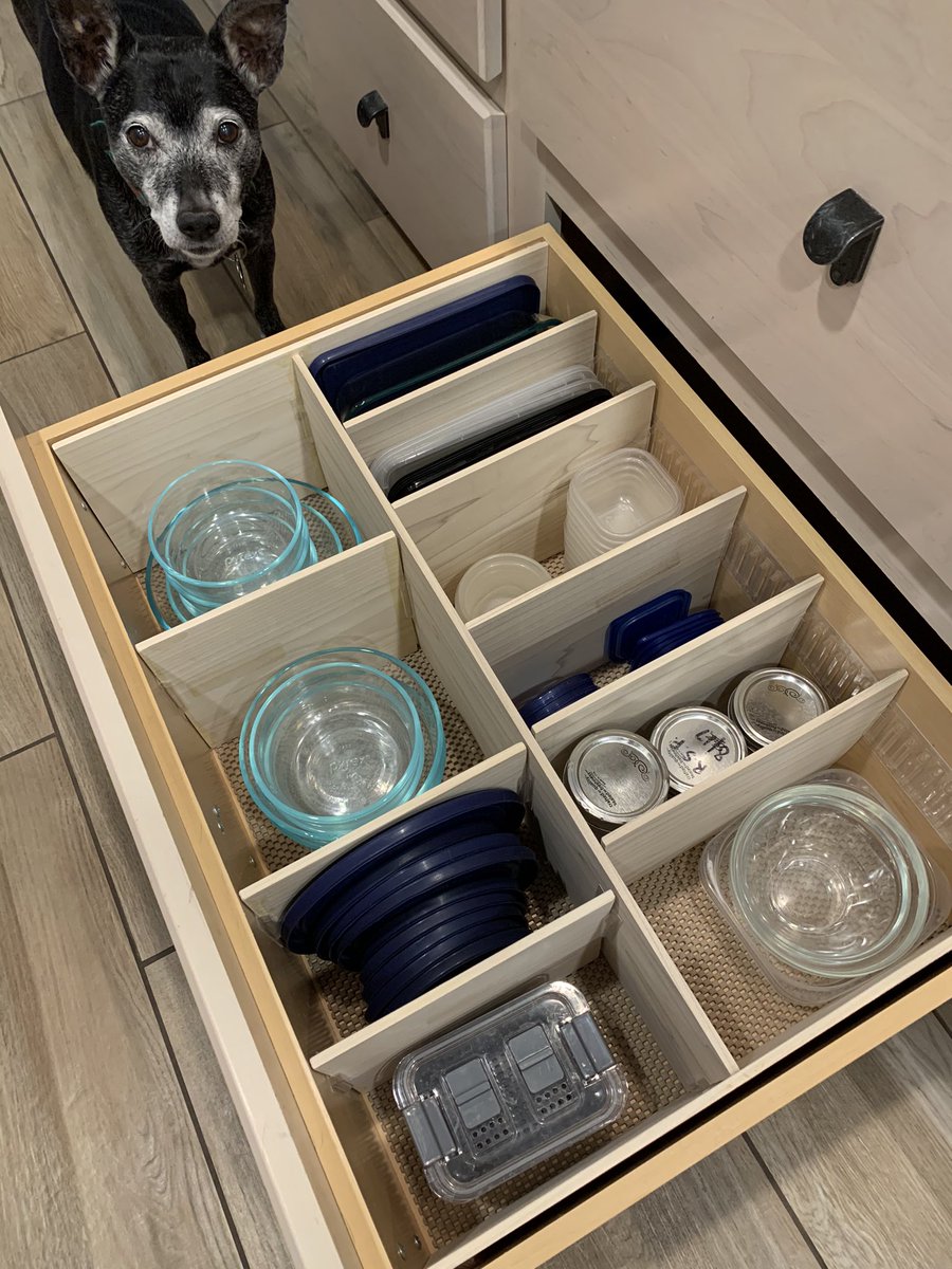 an organized drawer of Pyrex and Tupperware; a dog stands watch