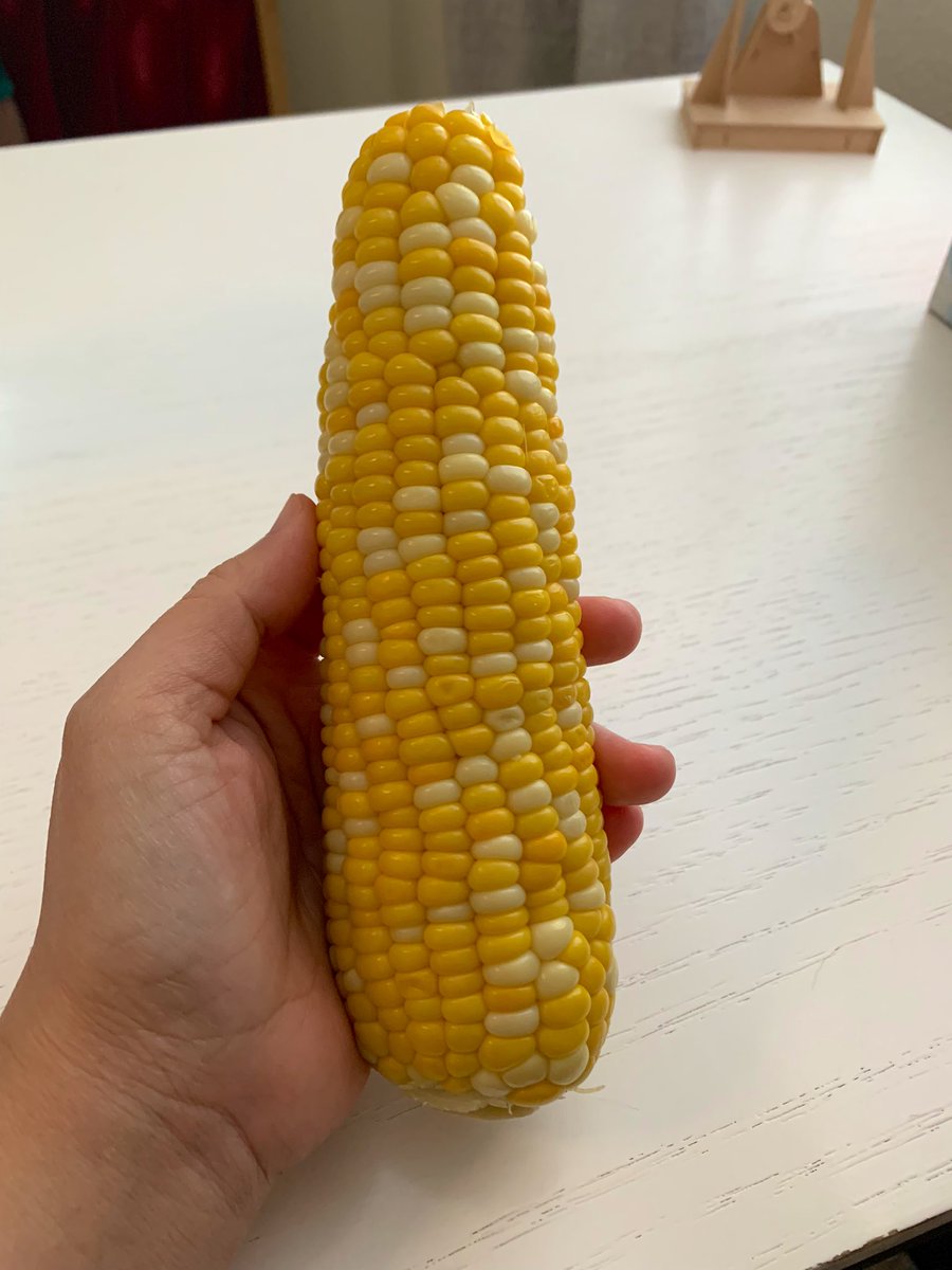 a cob of corn