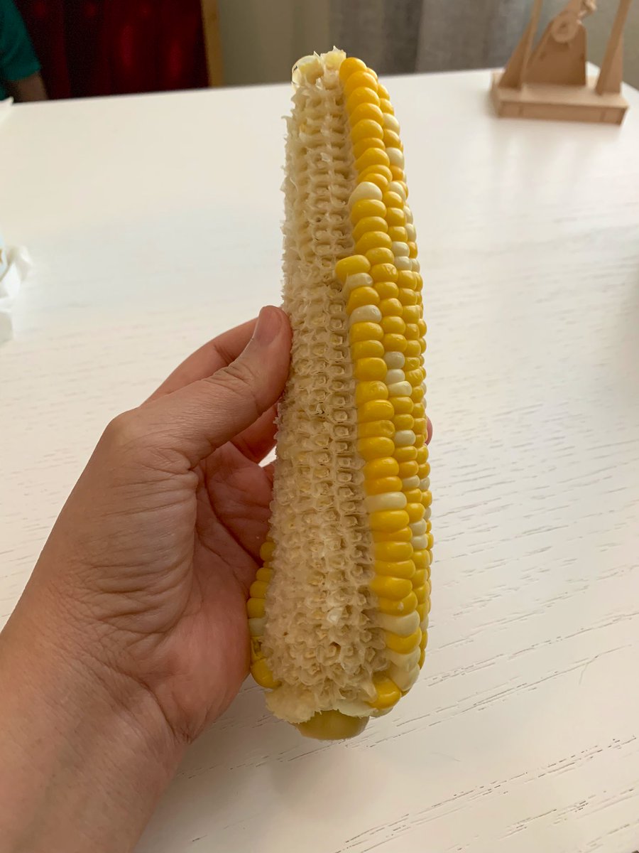 the cob of corn with half its kernels removed cleanly along the kernel rows