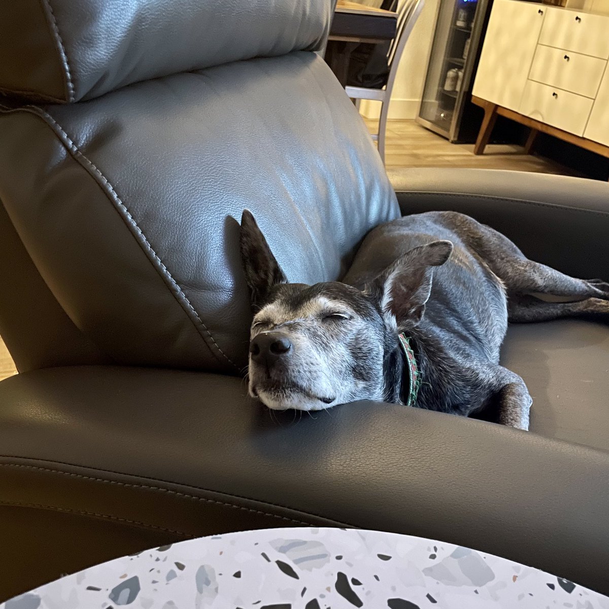 a dog sleeping in a recliner with her head propped on the arm