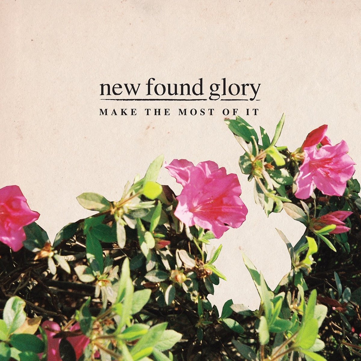 floral cover art for New Found Glory’s album “Make the Most of It”