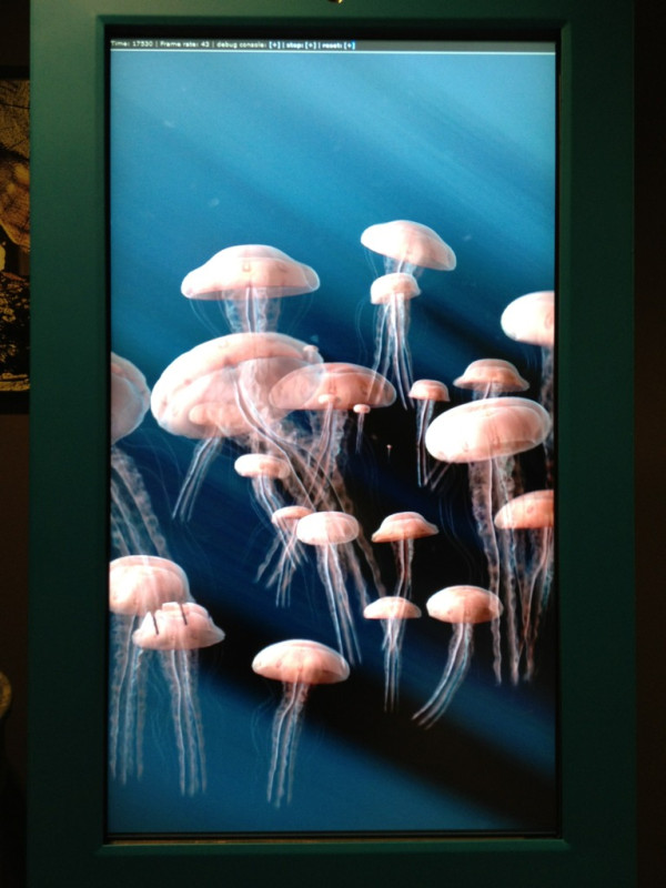 jellyfish screensaver