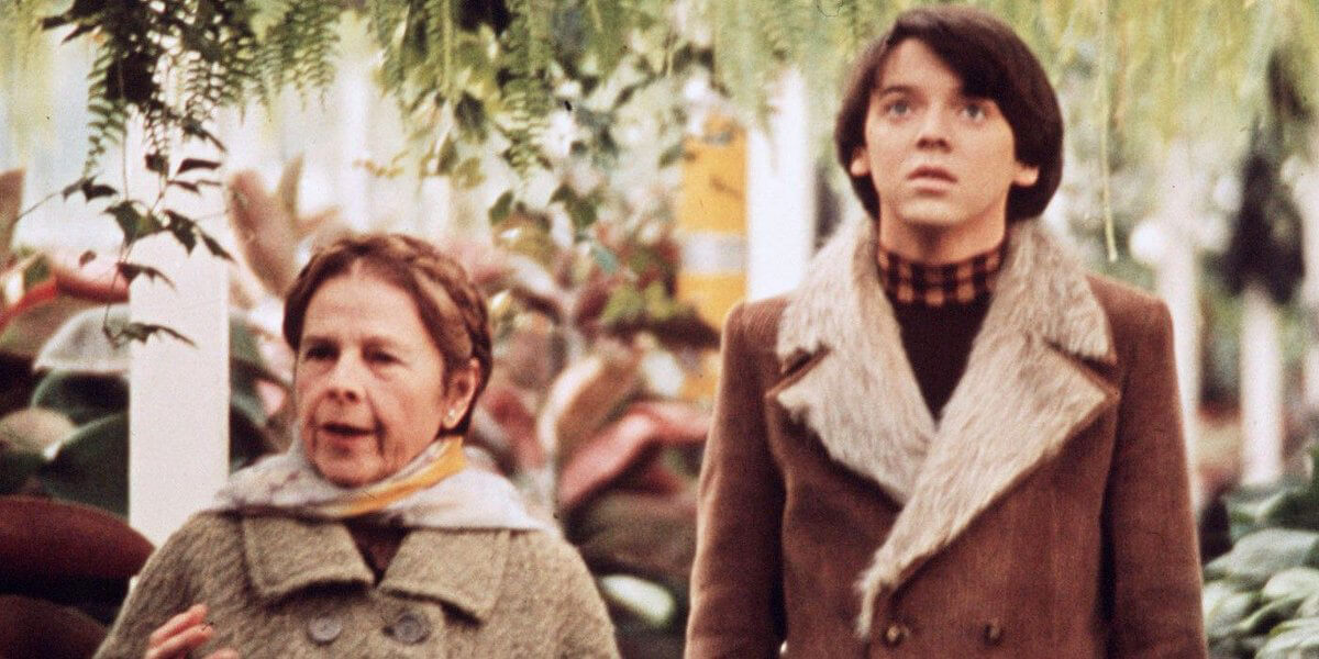 Harold and Maude