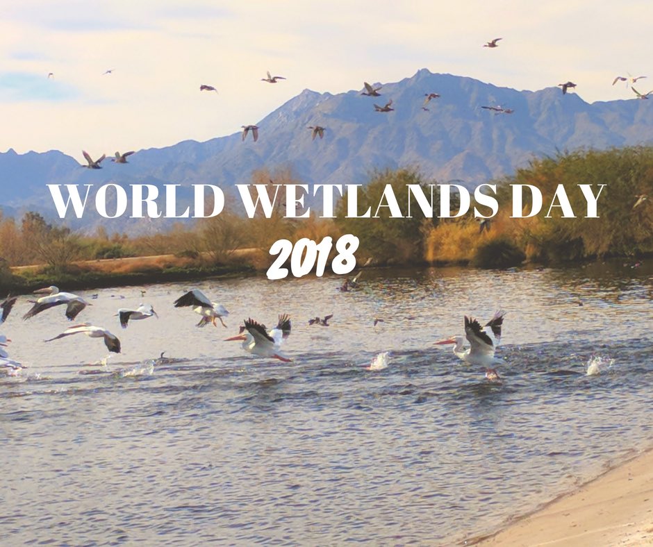 World Wetlands Day 2018