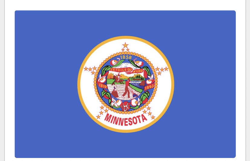 Minnesota state flag