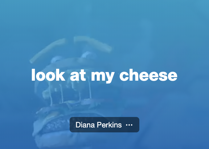 look at my cheese